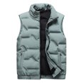 thumbnail image 1 of Dpytoraw Autumn And Winter New Down Men Stand Collar Vest Plus Fat And Thick Casual Warm Vest, 1 of 5