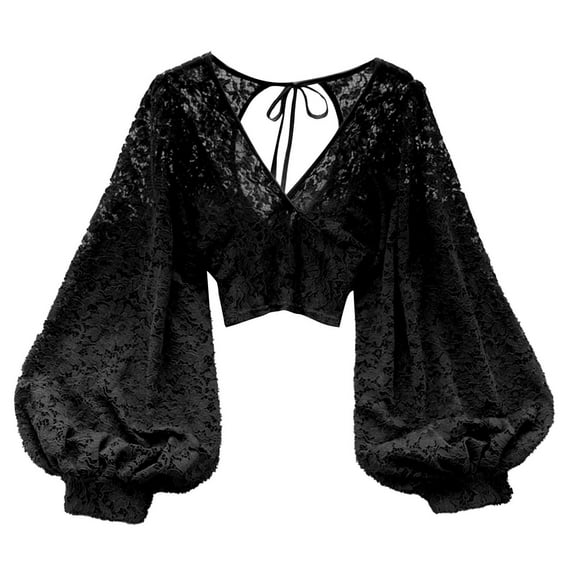 Dpytoraw Fashionable Backless Sheer Lace Blouse For Women Slim Fit Short Tops With Tie Detail Perfect For Autumn Versatile And Stylish Overlay Top