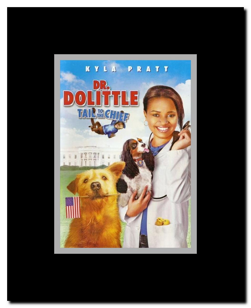 Dr. Dolittle: Tail to the Chief Framed Movie Poster