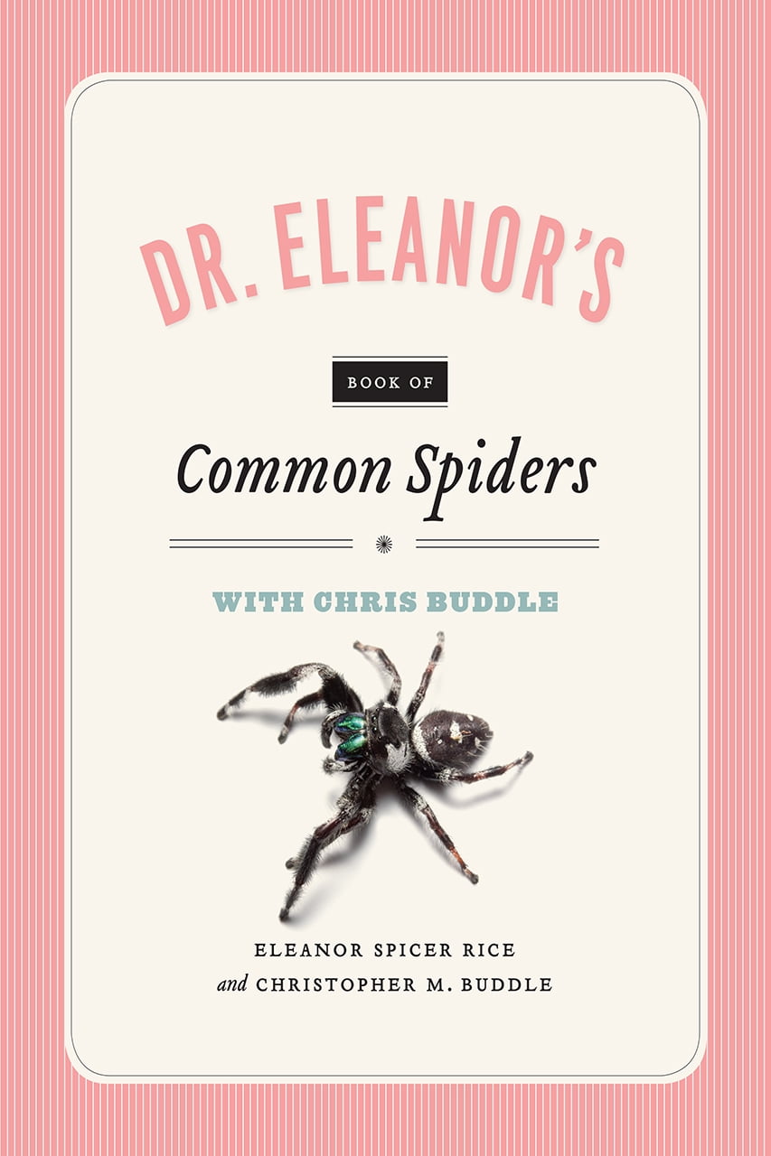 Dr. Eleanor's Book of Common Spiders (Paperback)
