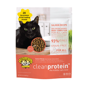 Dr. Elseys cleanprotein Grain-Free Salmon Flavor Dry Cat Food for All Life Stages 2 lb. Bag