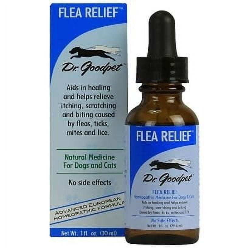 Homeopathic Flea Control For Cats With Pancreatitis photo