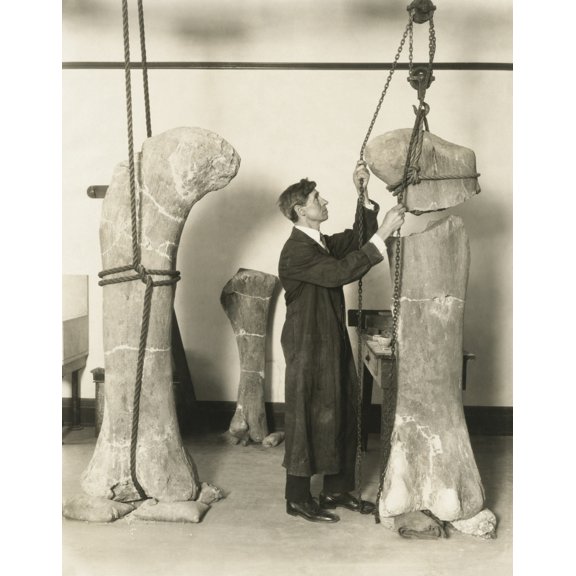 Dr. J. B. Abbott History (18 x 24)