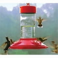 thumbnail image 1 of Dr Jb ft.S Hummingbird Products  Feeder- Red, 1 of 1