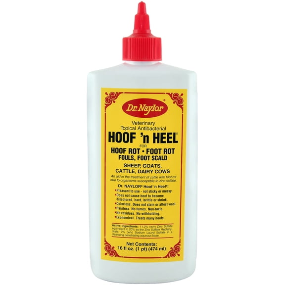 Dr. Naylor HHP Hoof N' Heel Livestock Ointment, 16-oz. - Quantity 12