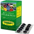 thumbnail image 1 of Dr. Ohhira’s Probiotics Original Formula with 3 Year Fermented Prebiotics, Live Active Probiotics and The only Product with Postbiotic Metabolites, 30 Capsules, 1 of 8