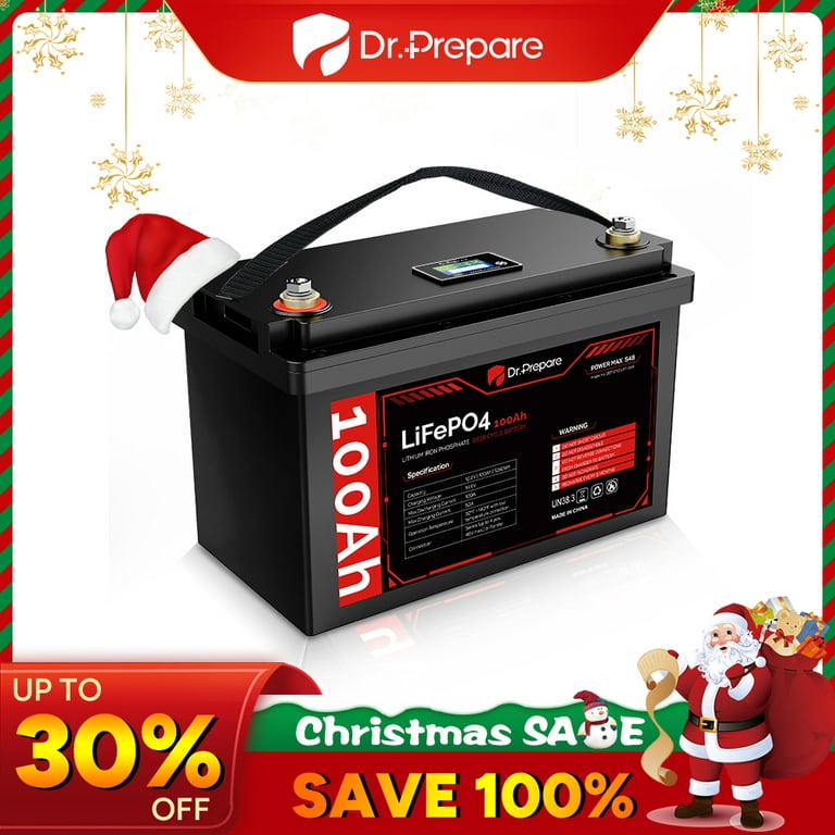 LiTime 12V 100Ah LiFePO4 Lithium Deep Cycle Battery, Built-in 100A BMS,  1280Wh Energy