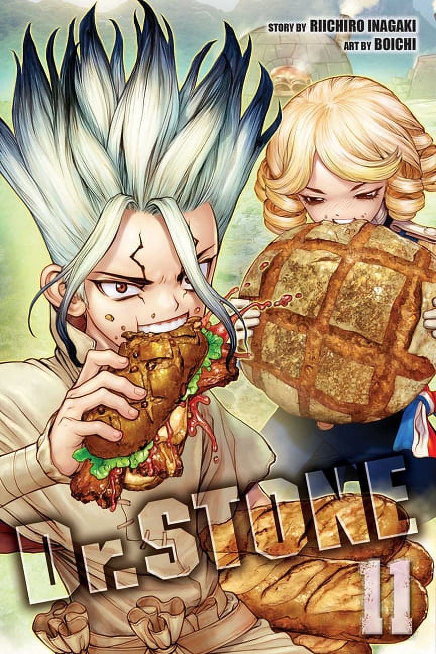 Dr. Stone Dr. Stone, Vol. 11, (Paperback) - Walmart.com