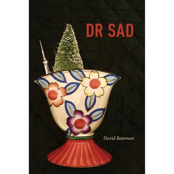 Pre-Owned Dr Sad (Paperback 9781773851037) by David Bateman