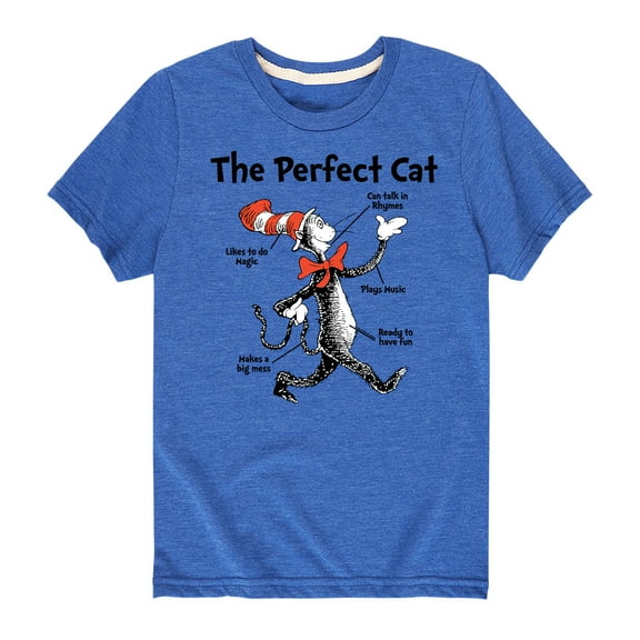 Dr. Seuss - The Perfect Cat - Toddler And Youth Short Sleeve Graphic T-Shirt