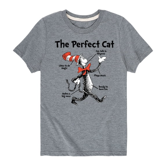 Dr. Seuss - The Perfect Cat - Toddler And Youth Short Sleeve Graphic T-Shirt