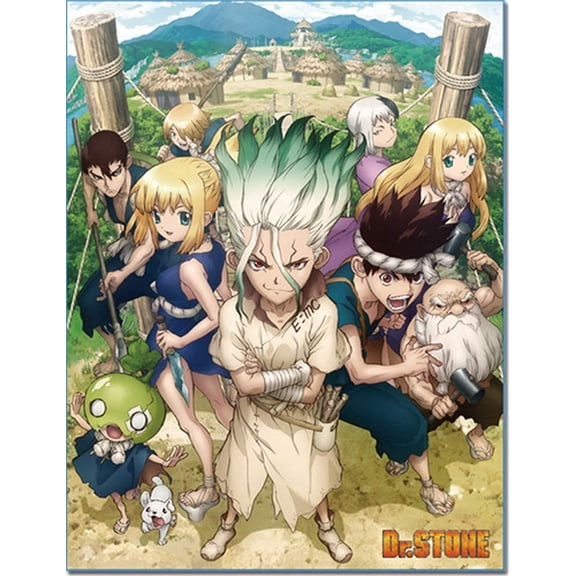 Dr. Stone Anime Key Art Sublimation Throw Blanket