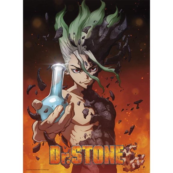 Dr. Stone Senku Anime Poster Unframed Size 24''x36'' GooGate