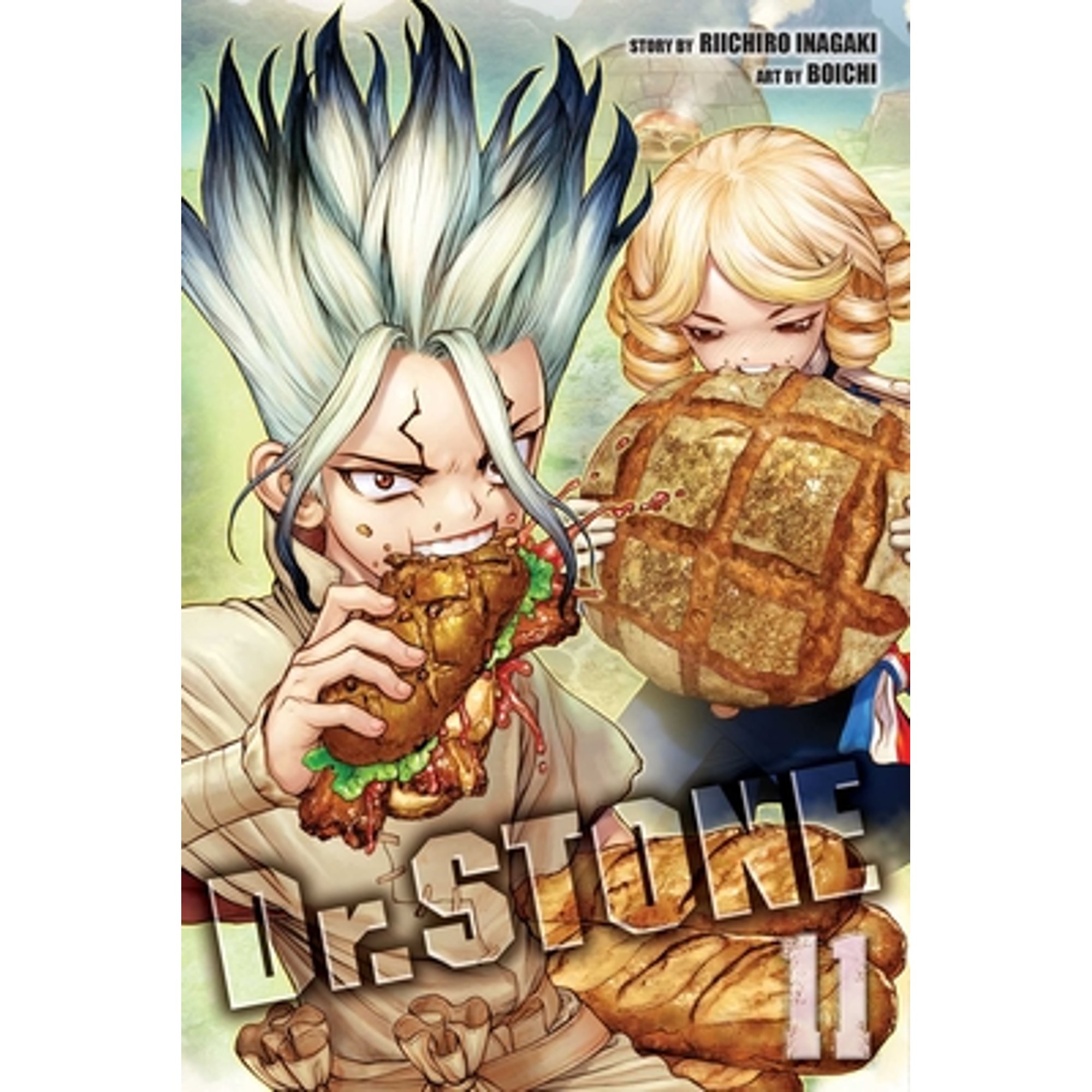 Pre-Owned Dr. Stone, Vol. 11 (Paperback) by Riichiro Inagaki
