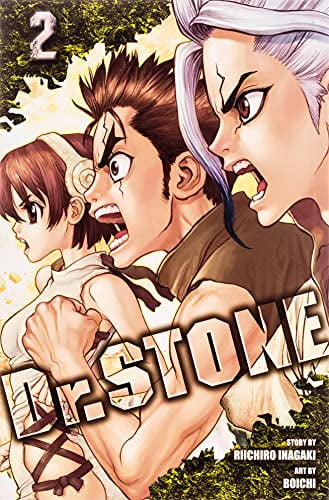 Pre-Owned Dr. Stone Vol 2: Two Kingdoms Of The Stone World: Volume 2 Paperback