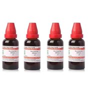 Dr Willmar Boerhavia Diffusa Mother Tincture