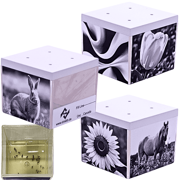 Drabb. Discreet Reusable Fruit Fly Traps, Blends Great Into Every Environment, Set of Three