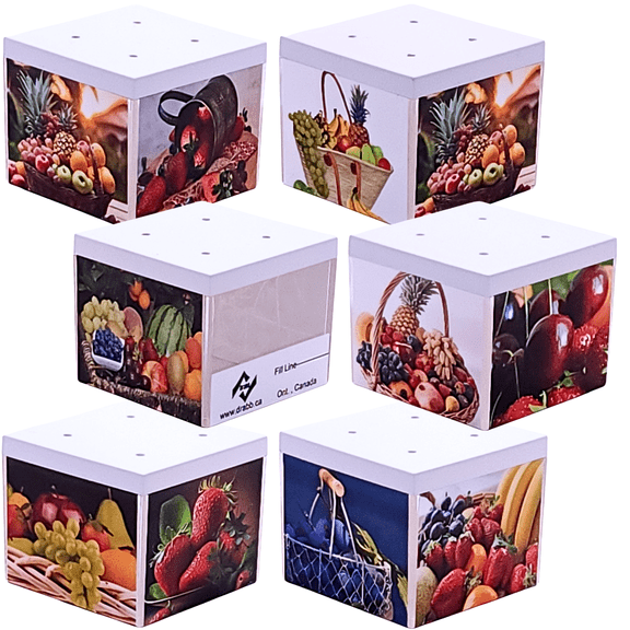 Drabb. Tropical Fun Indoor Fruit Fly Traps, Professional Grade, 6-Count Box Set with Instructions