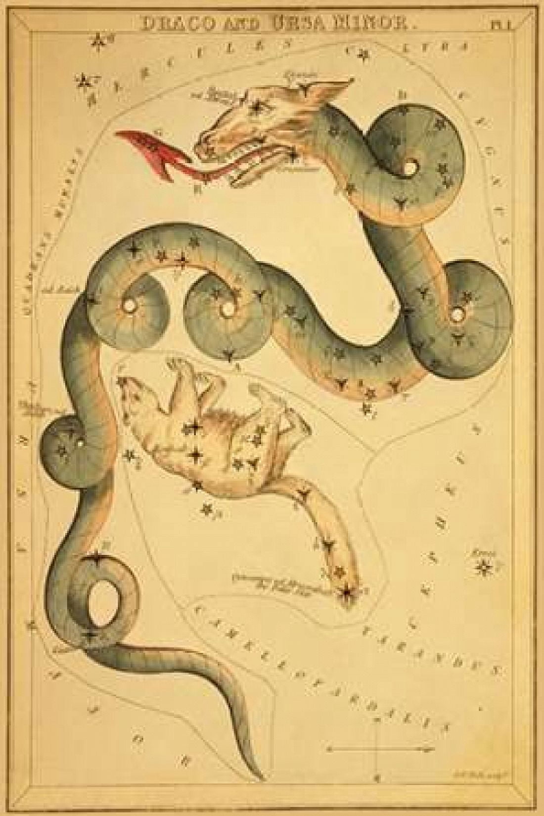 Draco and Ursa Minor 1825 Canvas Art - Jehoshaphat Aspin (12 x 18)