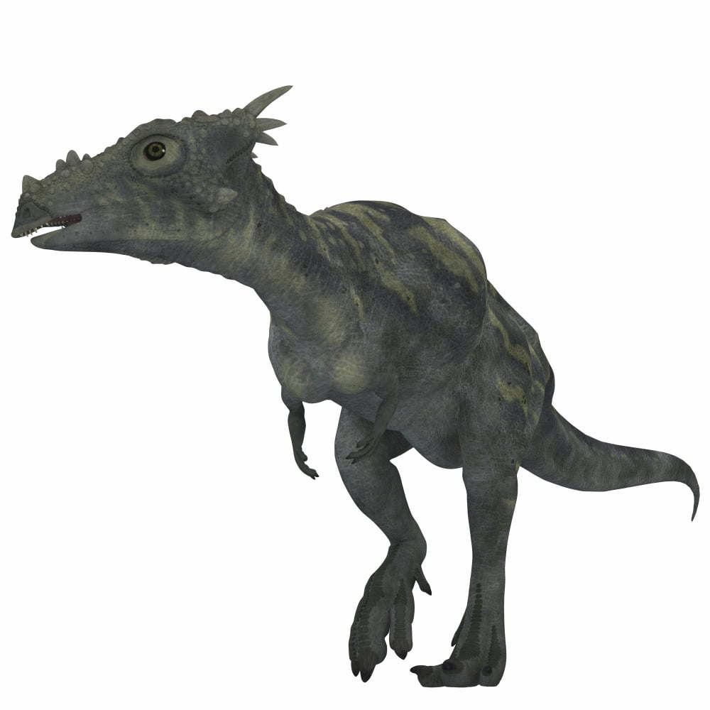 Dracorex dinosaur Canvas Art - Corey FordStocktrek Images (29 x 29)