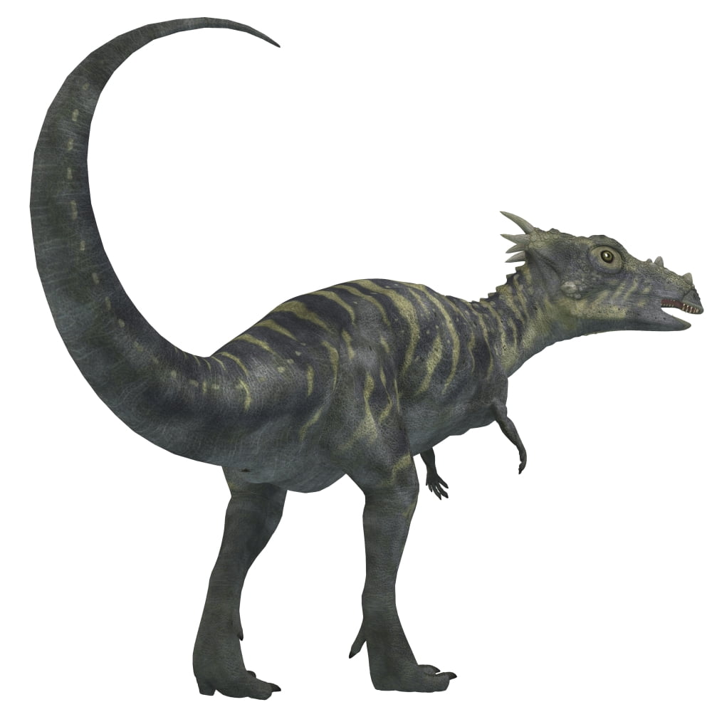 Dracorex dinosaur from the Cretaceous Period Canvas Art - Corey FordStocktrek Images (29 x 29)
