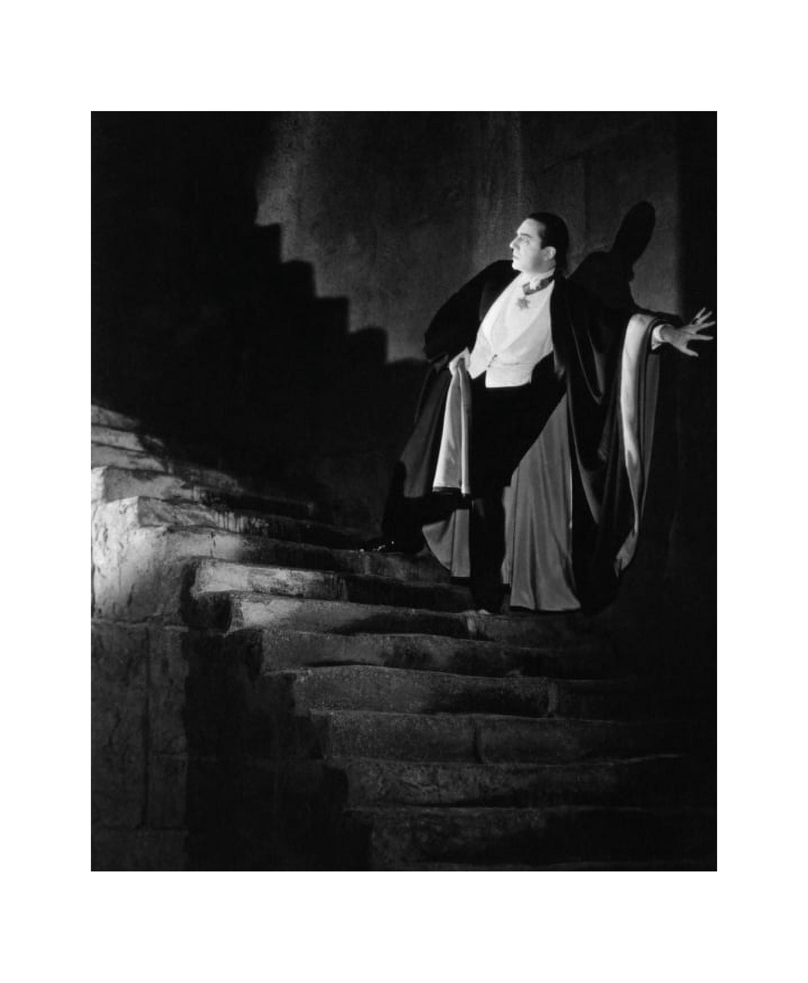 Dracula Canvas Art - (16 x 20)