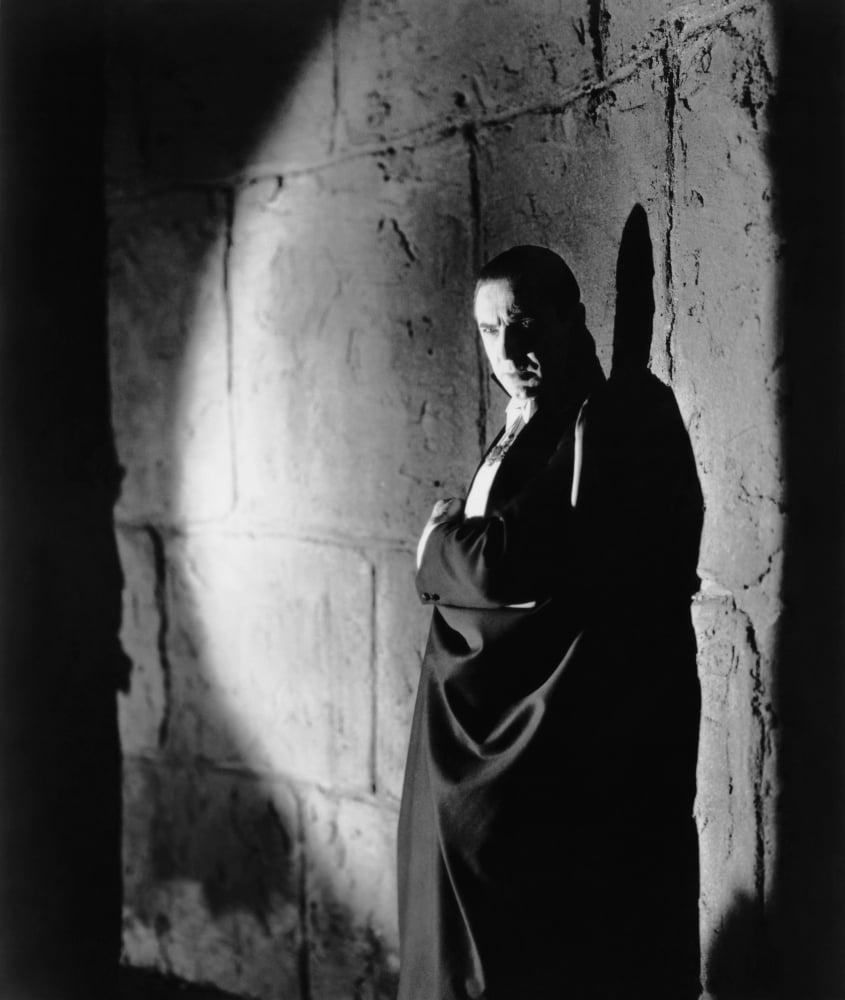 Dracula Canvas Art - (16 x 20)