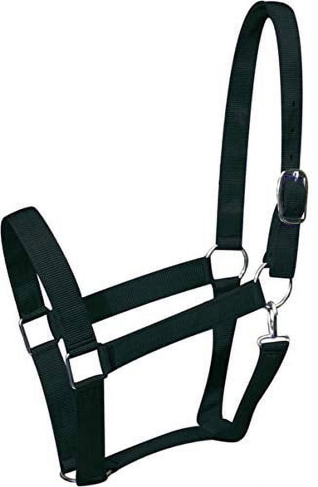 Draft Horse Size Nylon Halter (Green) - Walmart.com