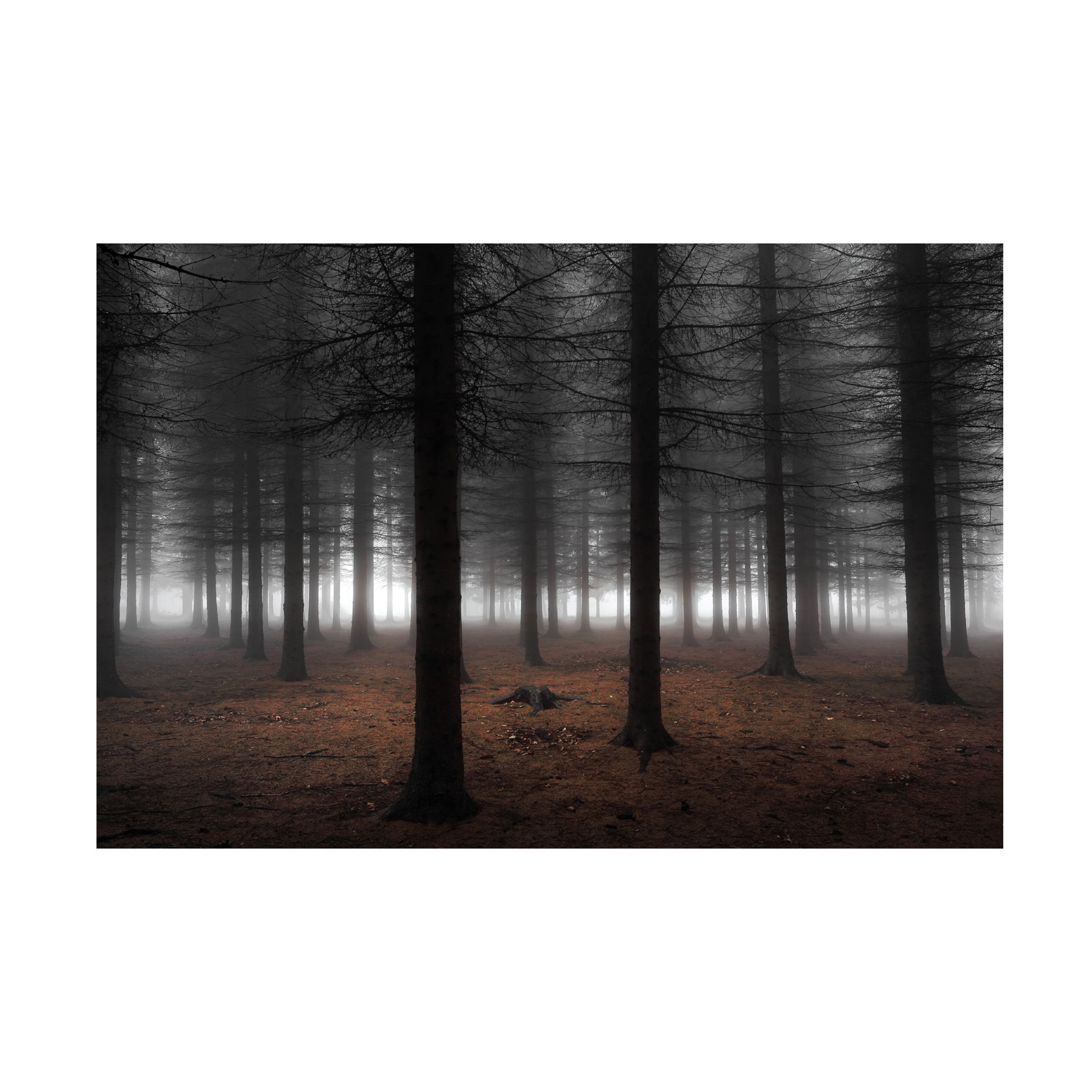Dragisa Petrovic 'Silence' Canvas Art