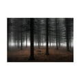 thumbnail image 1 of Dragisa Petrovic 'Silence' Canvas Art, 1 of 4