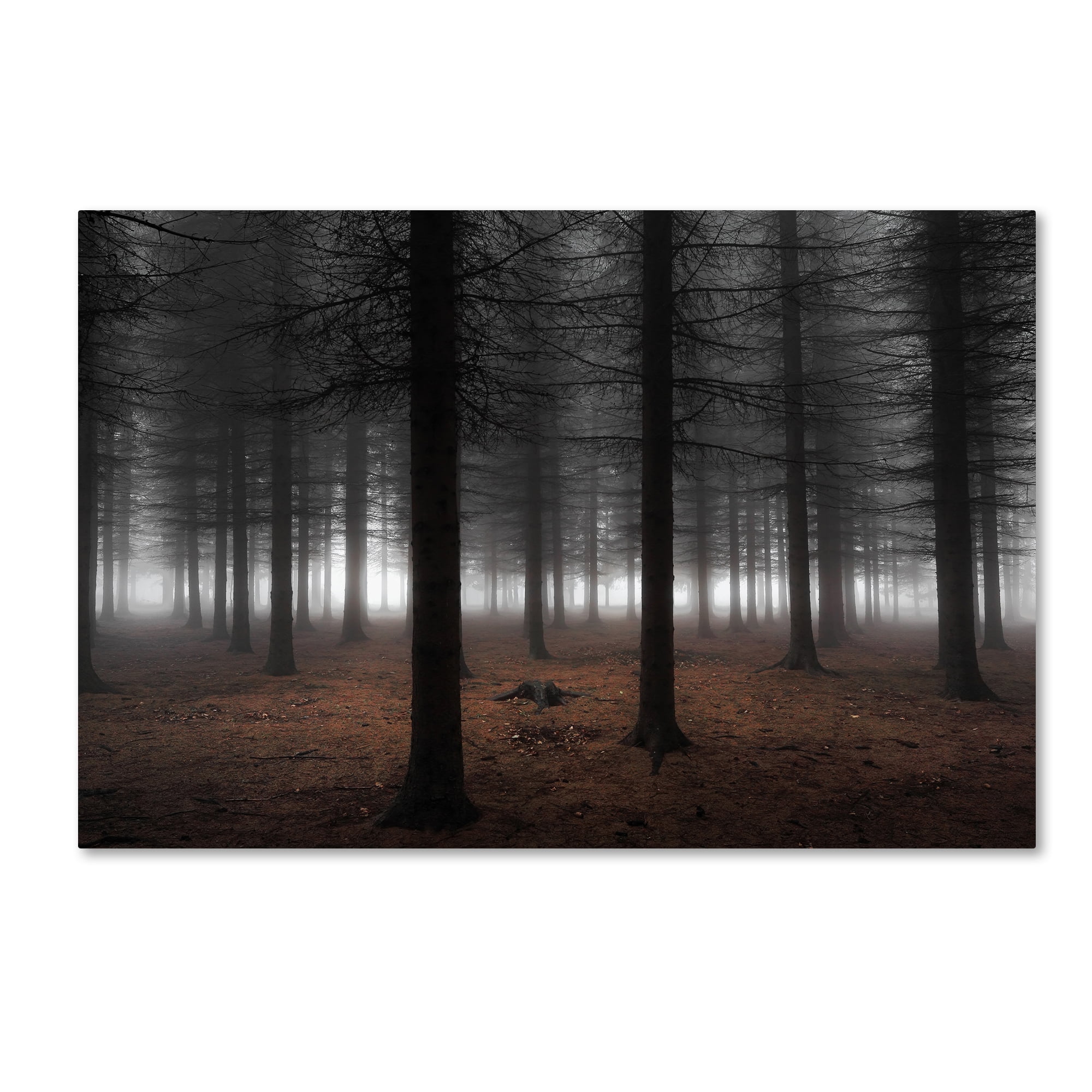 Dragisa Petrovic 'Silence' Canvas Art