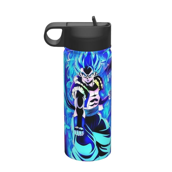 Dragon Ball 18 Oz Insulated Sports Water Bottle, Fashion Portable Straw Kettle For Hiking Camping
