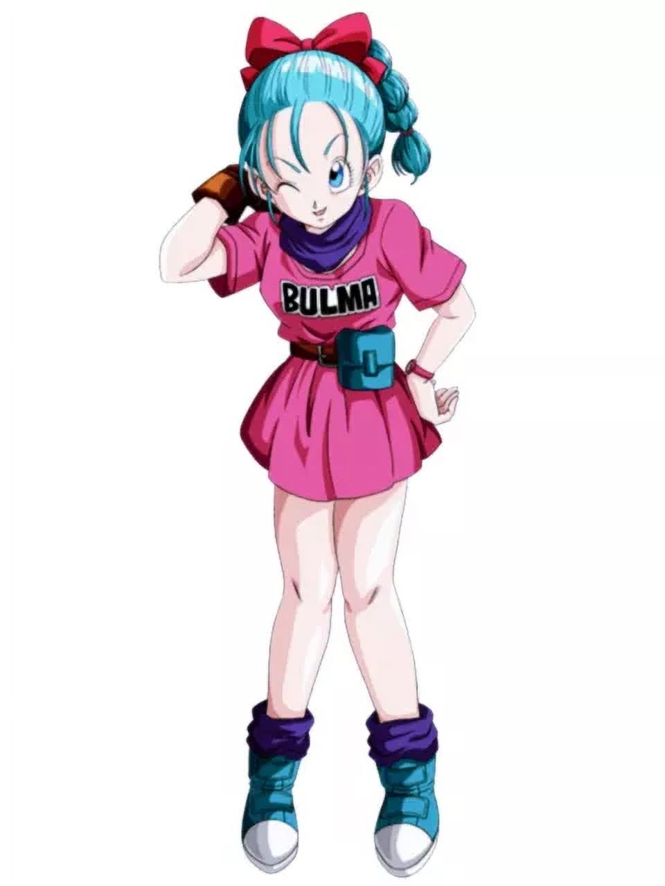 Dragon Ball Bulma Pink Stickers Phone Decal Water Bottle Stickers Car ...