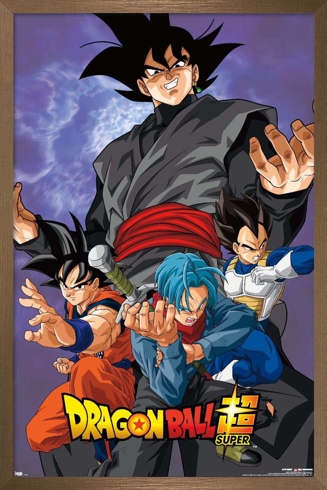 Son Goku and Broly- Dragon Ball Poster for Sale by Kurama-store