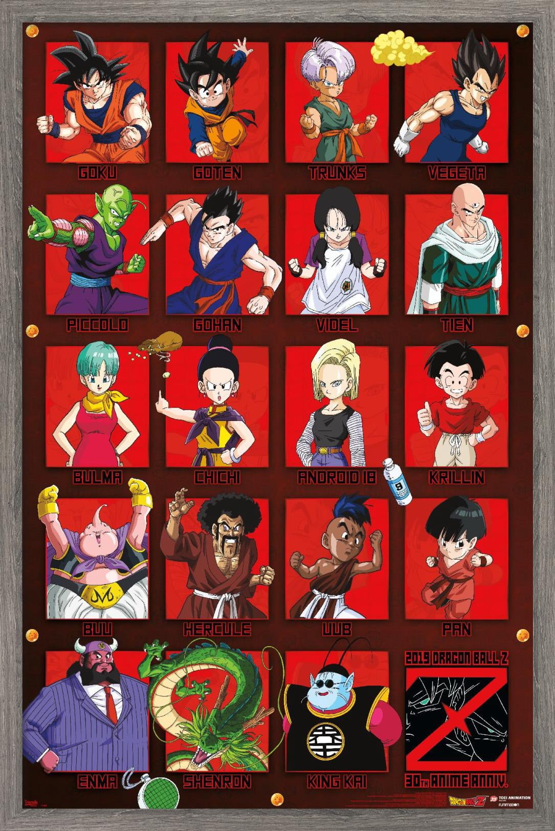 Dragon Ball Z - Anniversary Wall Poster, 14.725" x 22.375", Framed