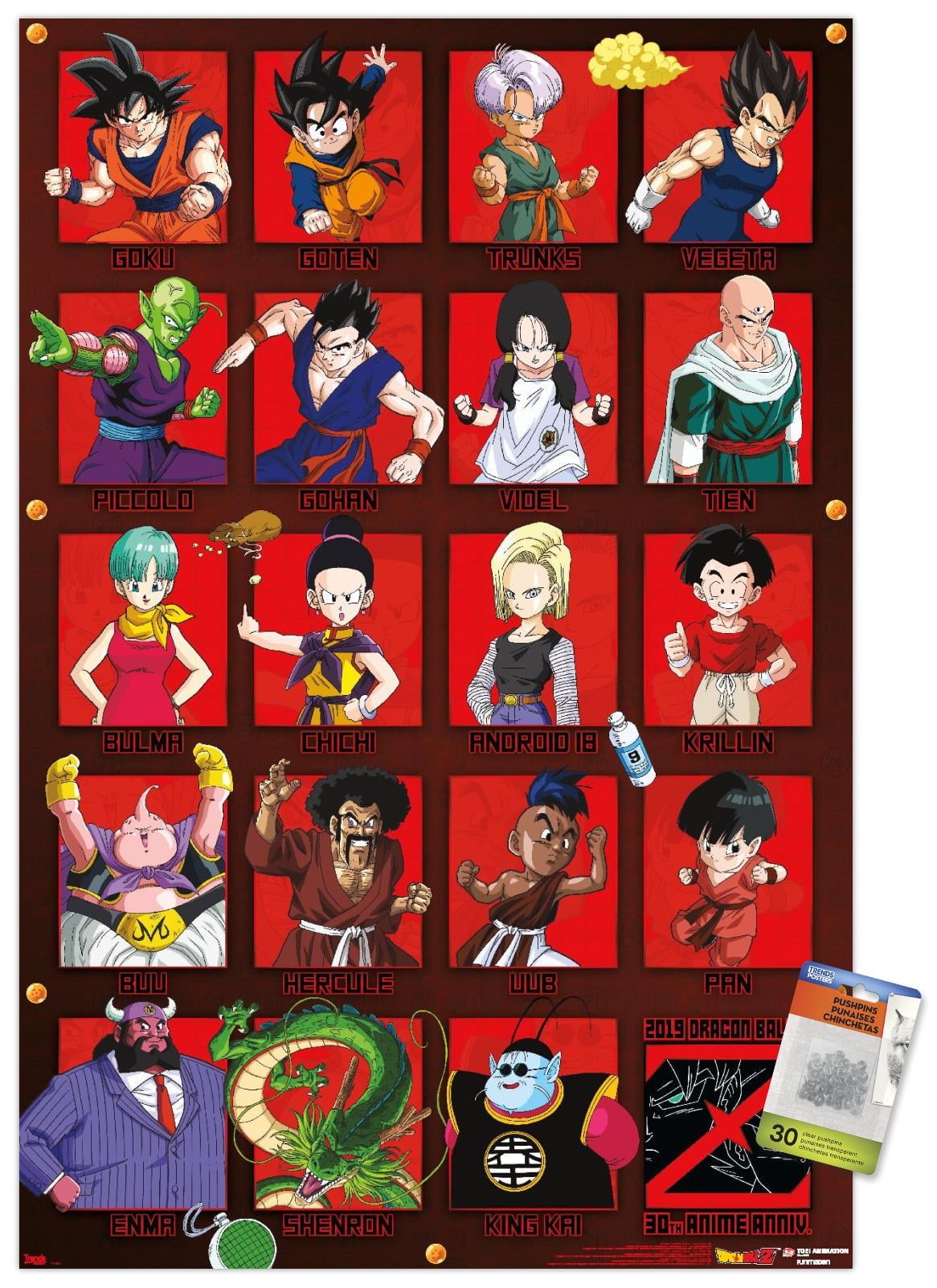 Dragon Ball Z - Anniversary Wall Poster with Magnetic Frame