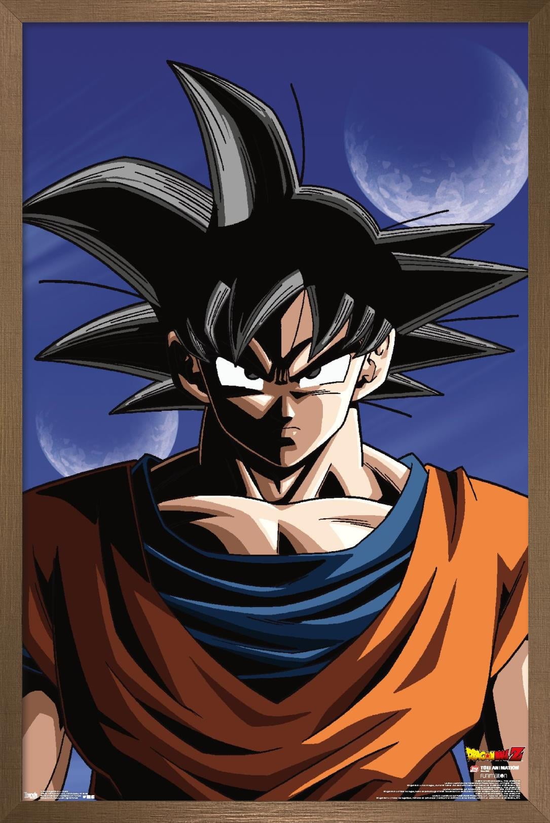 Dragon Ball Z - Goku Wall Poster, 22.375