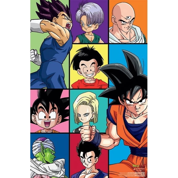 Dragon Ball Z - Grid Poster Print (22 x 34)