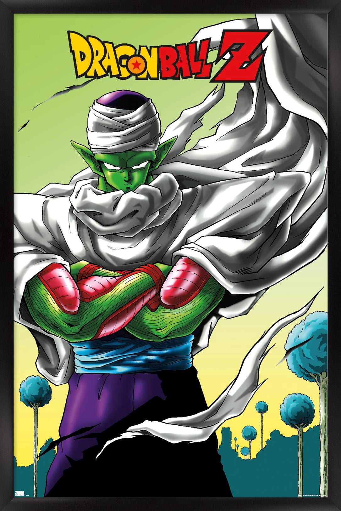 Dragon-Ball-Z-Piccolo-Wall-