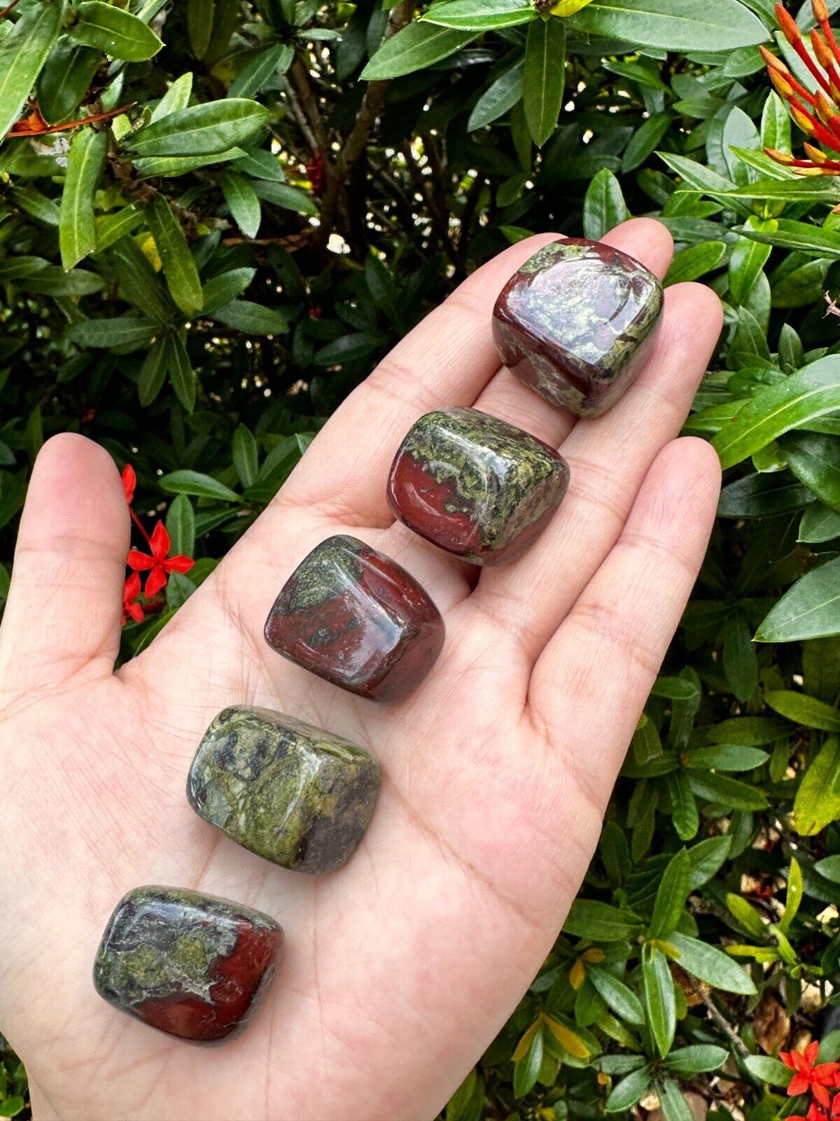 Dragon Blood Jasper Tumbled Stones 0.751.25", Pick How Many Stones