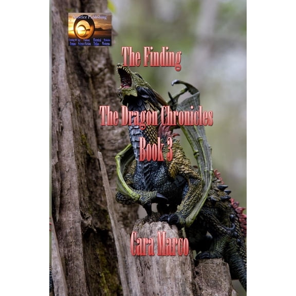 Dragon Chronicles: The Finding (Paperback)