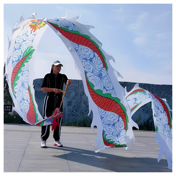 Dragon Dance Ribbon, Sports Fitness Dragon Dancer Streamer Set, Lightweight Rhythmic Throwing Game Set for Outdoor Fitness Juggling