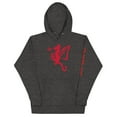 thumbnail image 1 of Dragon Flames Hoodie, 1 of 1