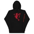 thumbnail image 1 of Dragon Flames Hoodie, 1 of 1