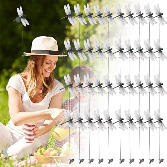 Dragon Flies Clip On,Clip On Dragonflies,Artificial Dragonfly Hat Clip, 40 Pcs Realistic 3d Bug Repellent Clips – Fly Deterrent Dragonfly Backpack Hat Garden Decor For Indoor Outdoor Use, Black