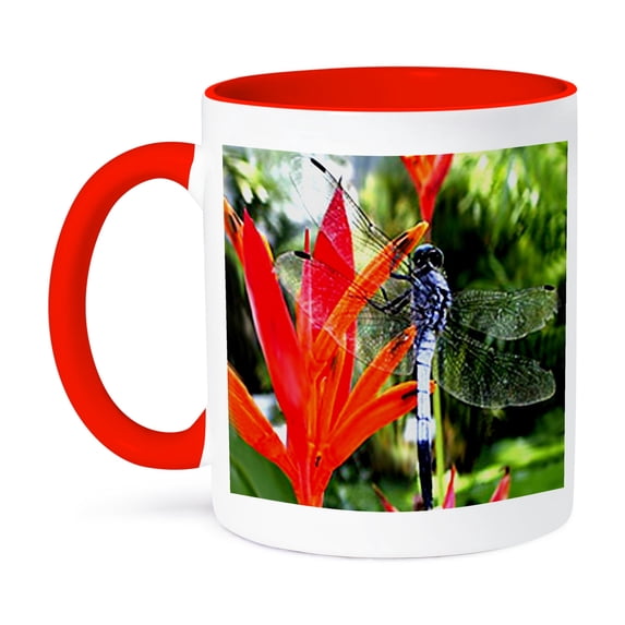 3dRose, Dragon Fly, 11oz Two-Tone Red Mug