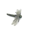 thumbnail image 1 of Dragon Fly, Golden-ringed Dragonfly, Rubber Insect, Educational, Toy, Kids, Realistic Figure, Lifelike Model, Figurine, Replica, Gift, 8" ABC05 B262, 1 of 6