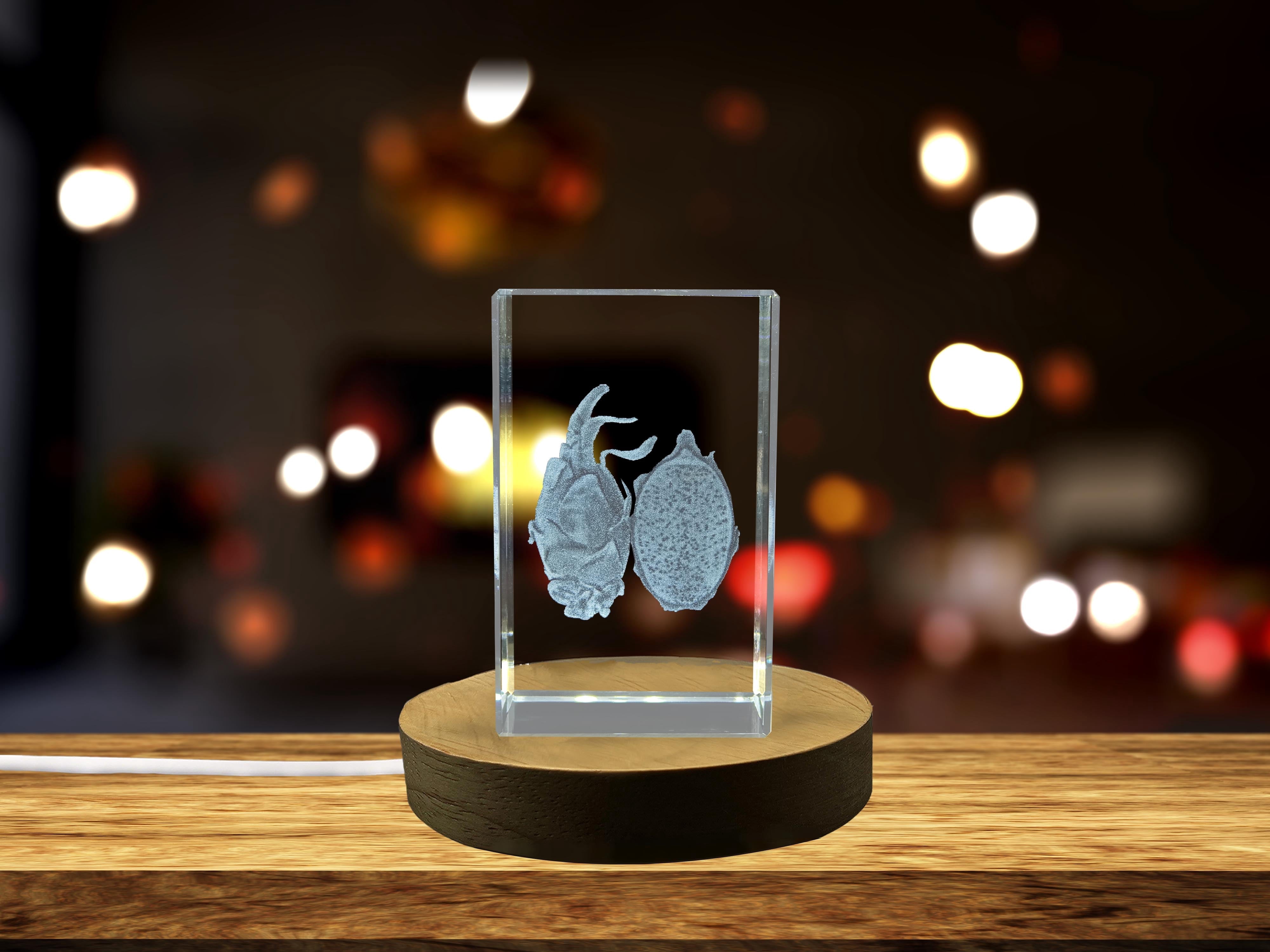 Dragon Fruit 3D Engraved Crystal Unique Decor Gift