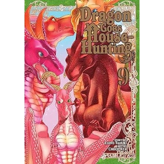 Pre-Owned Dragon Goes House-Hunting Vol. 9 (Paperback) by Kawo Tanuki