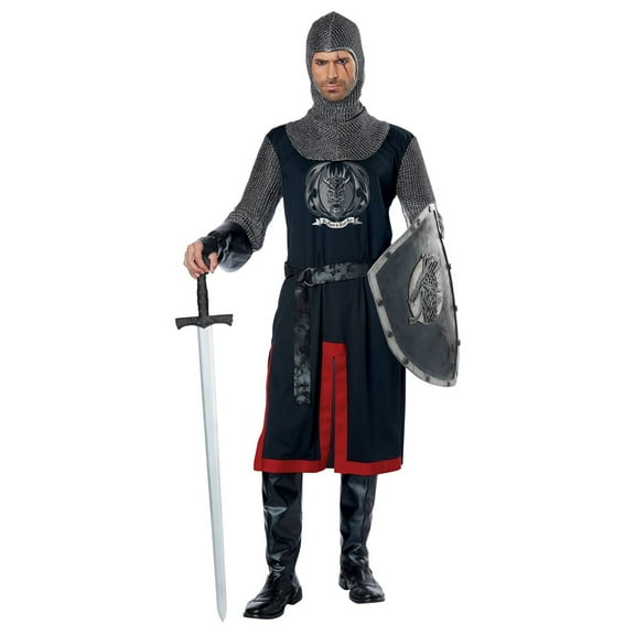 Dragon Knight Adult Halloween Costume